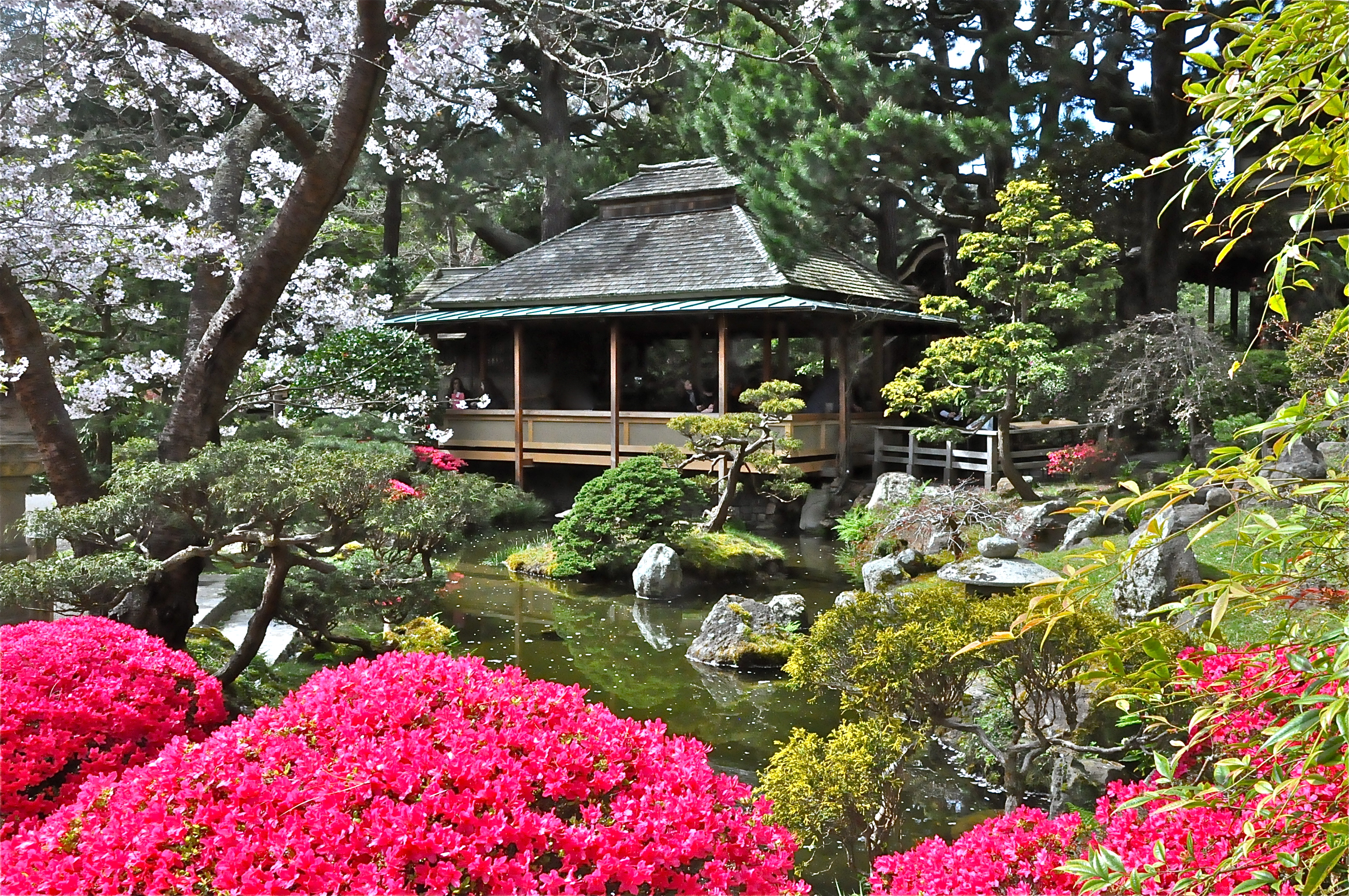 japanese tea garden san francisco