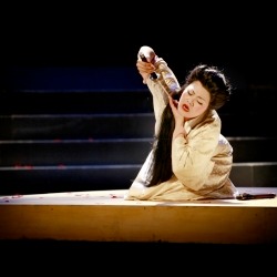 madamabutterfly4638